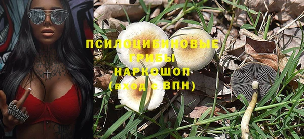 хмурый Армянск