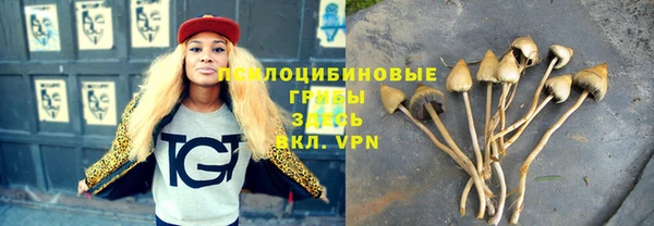 a pvp Балахна