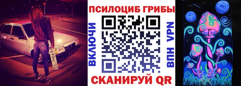 продажа наркотиков  ссылка на мегу сайт  Псилоцибиновые грибы Psilocybine cubensis  Губаха 