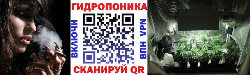 Бошки марихуана семена Губаха